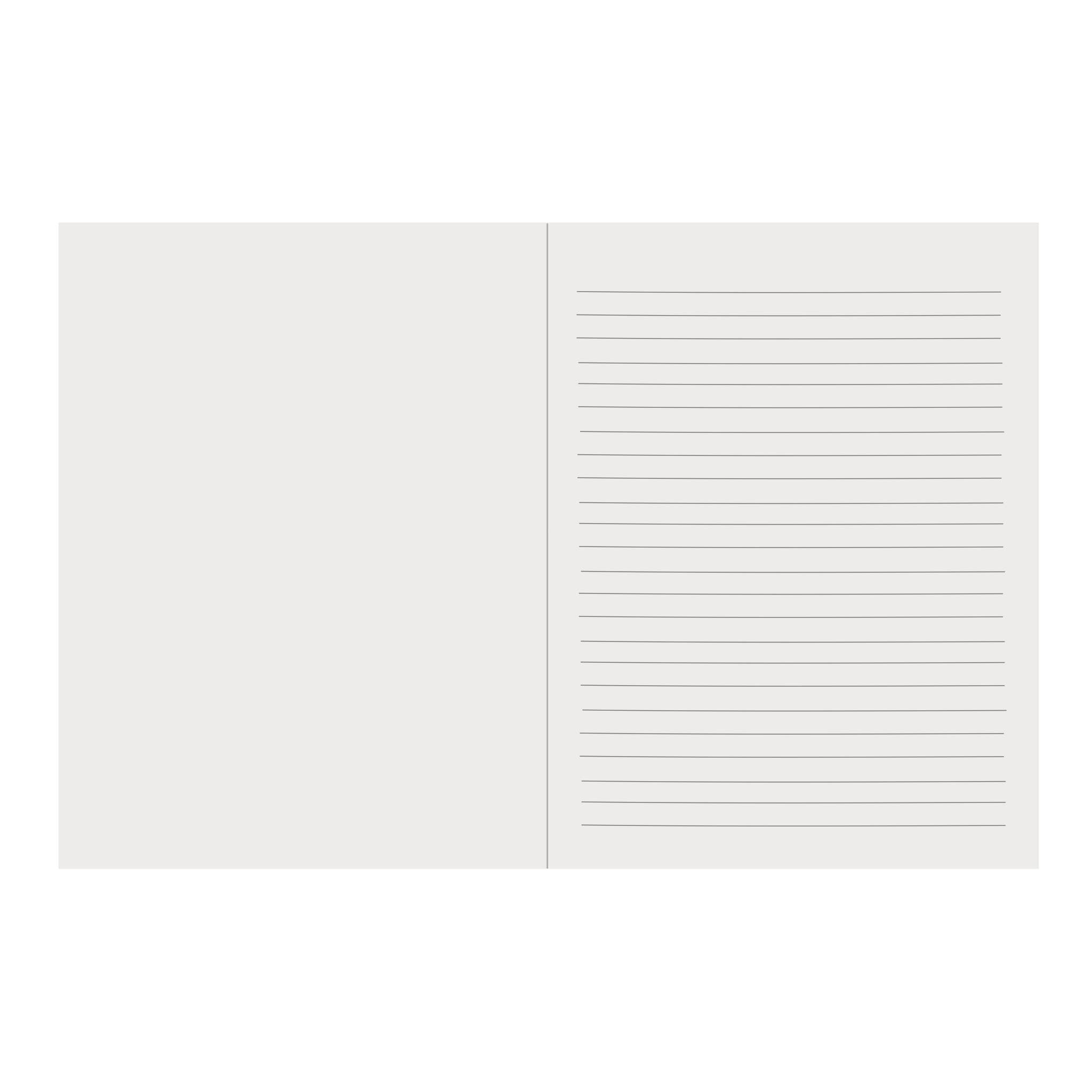 The Smiles Notebook