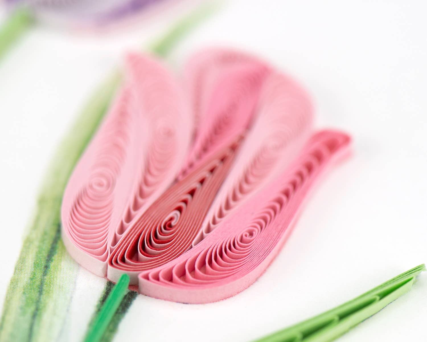 Quilled Greeting Card, "Colorful Tulips"