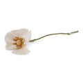 Felted White Poppy Flower