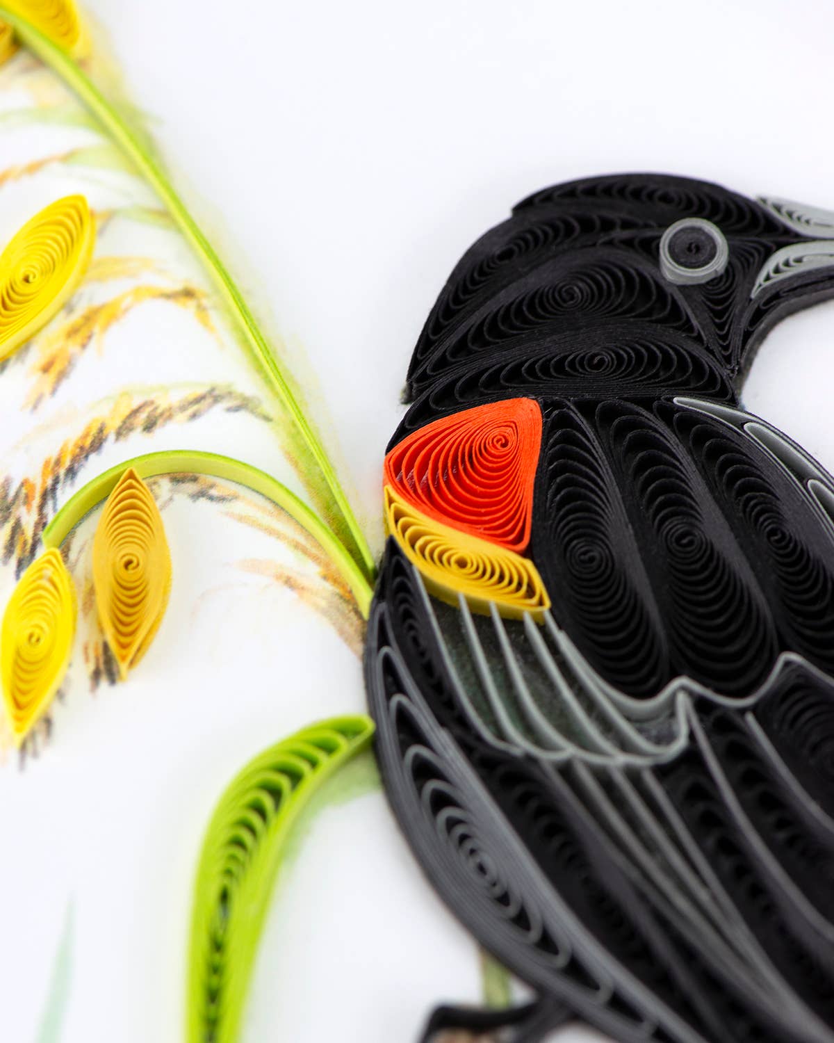 Quilled Greeting Card, "Red-winged Blackbird"