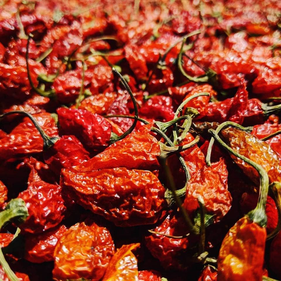Cobanero Chili Flakes - Single Origin Spice & Seasoning