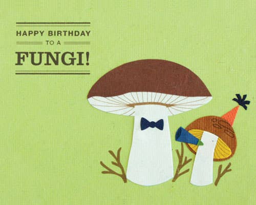 Recycled Paper Cards, "Happy Birthday Fungi"