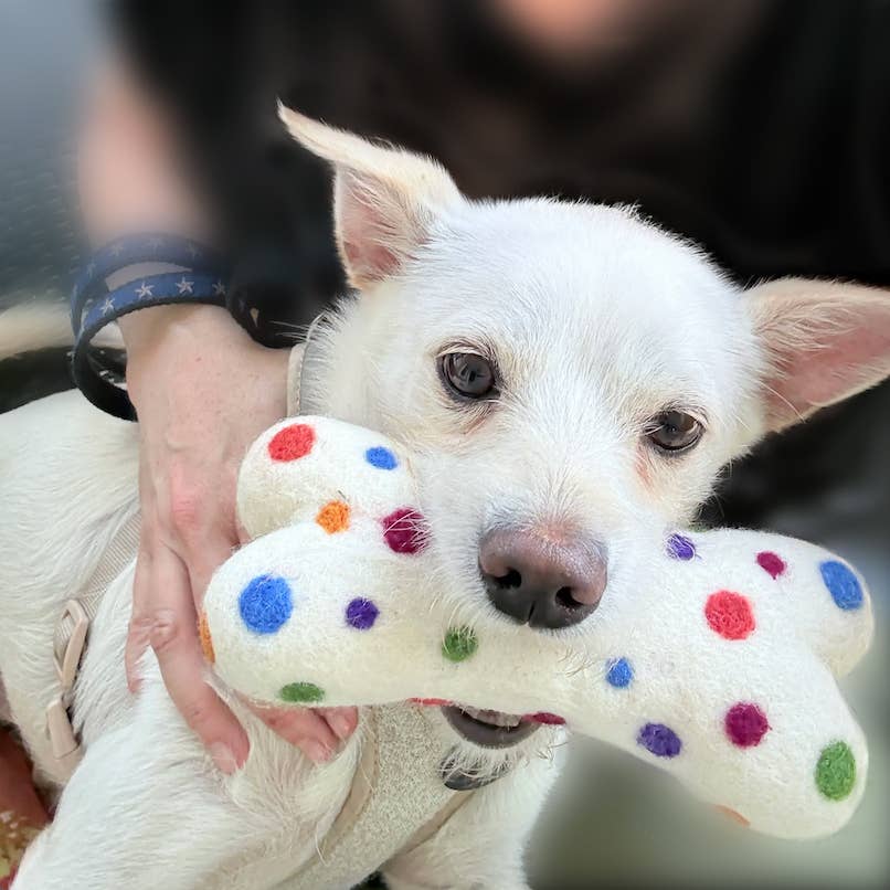 Felted Eco Wool Dog Bone Toy