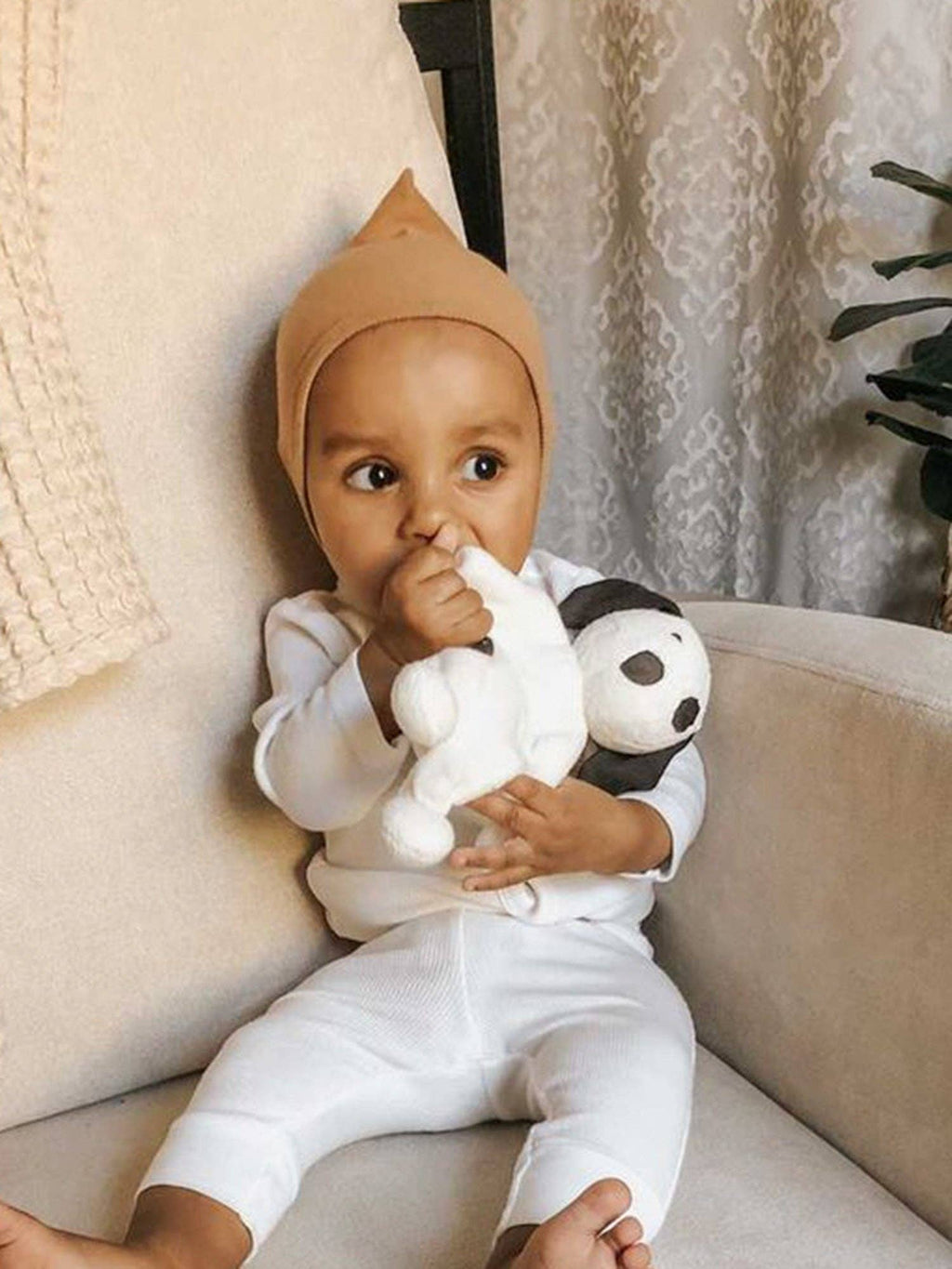 Organic Cotton Toy, "Duke the Dog"