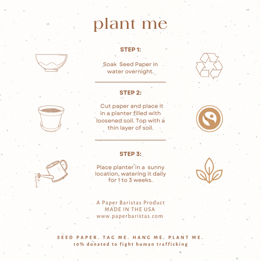 Plantable Seed Gift Tags, Greenery