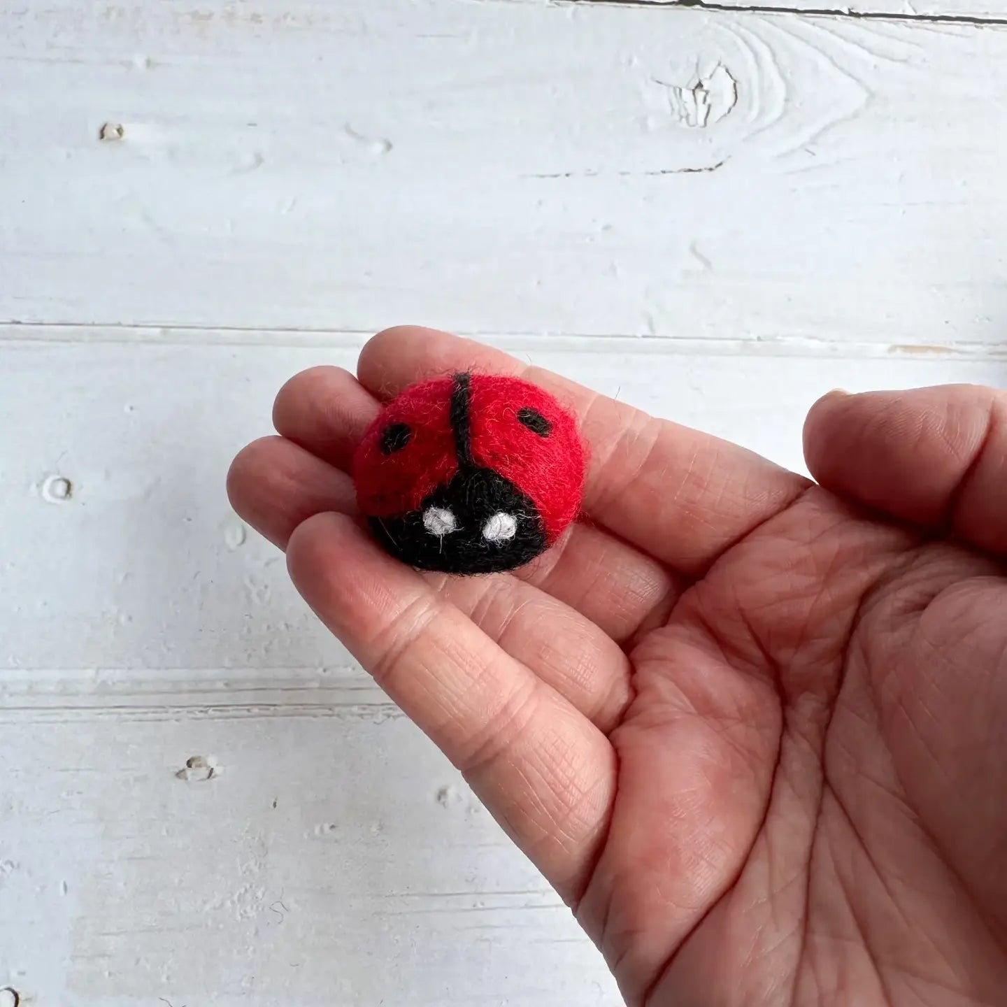 Felt Ladybug