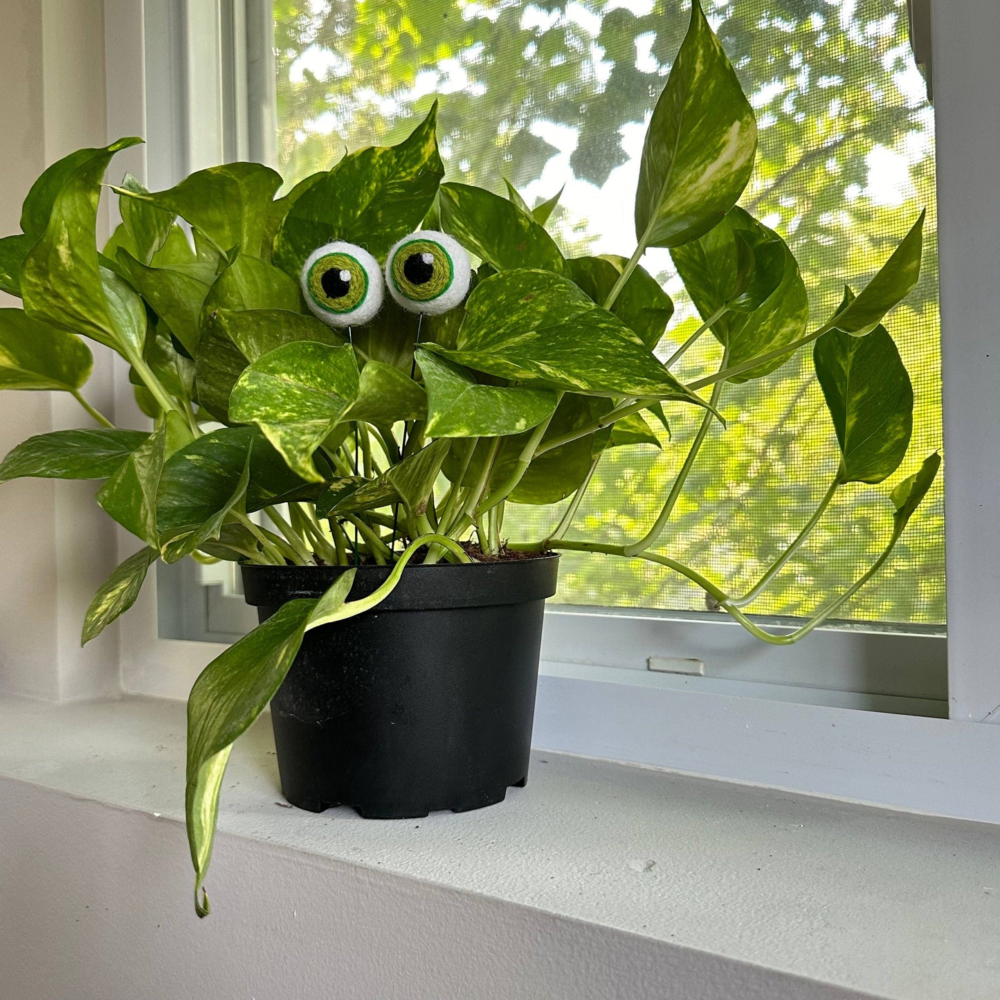 Felted Plant Eyeballs
