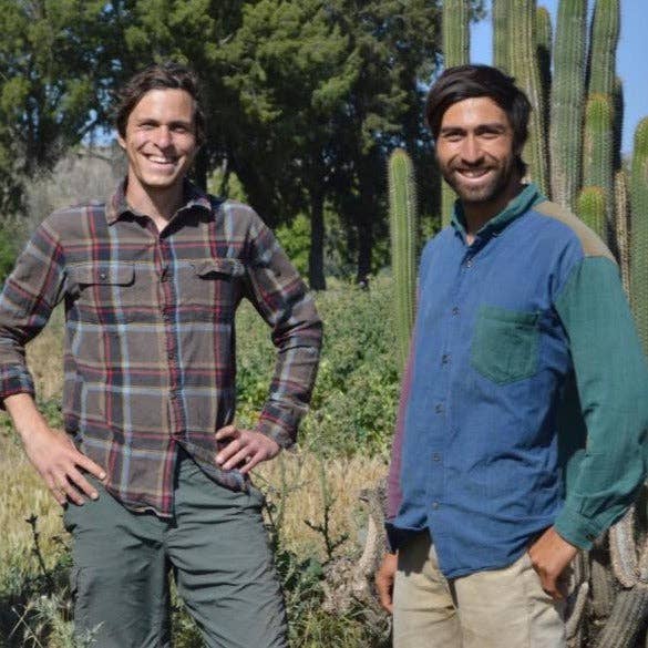 Smoked Chipotle Chili Flakes - Single Origin Spice