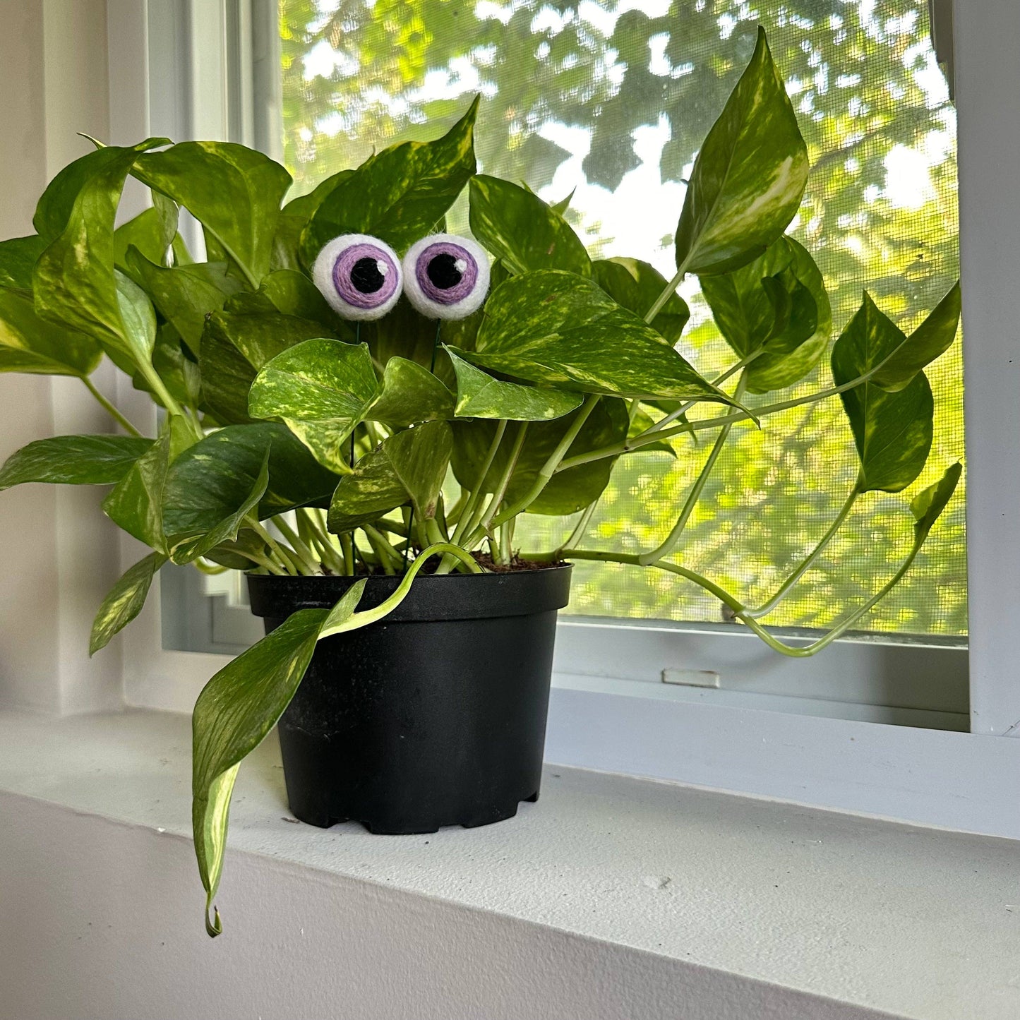Felted Plant Eyeballs