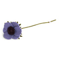 French Anemone - Purple