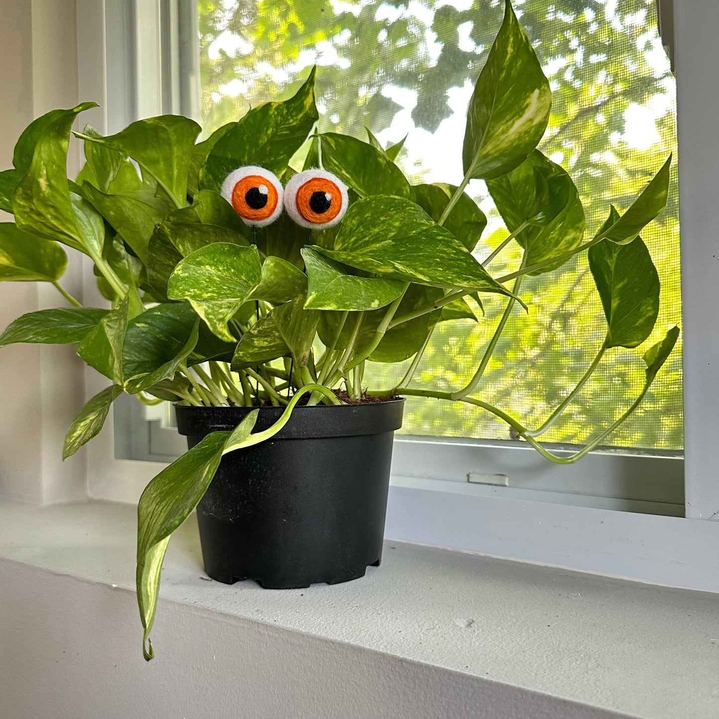 Felted Plant Eyeballs