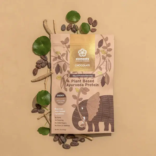 Chocolate Plant Based Protein Powder