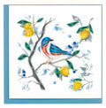 Bluebird with Lemons & Blueberries
