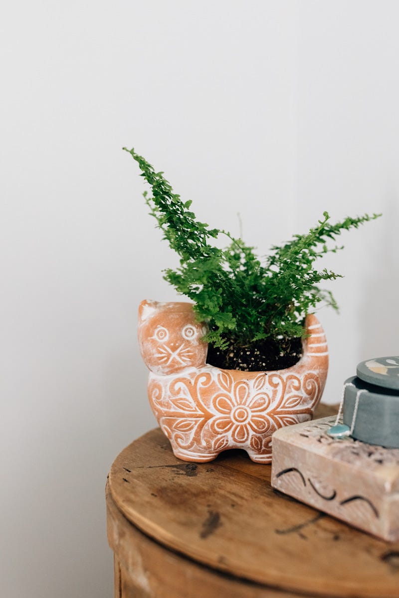 Planter cat whitewashed t-cotta 5Dx4.5H